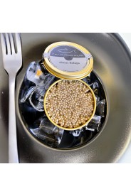 Caviale Almas Beluga impiattato - Caviar Milan