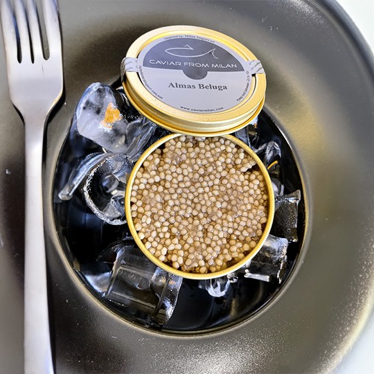 Caviale Almas Beluga impiattato - Caviar Milan