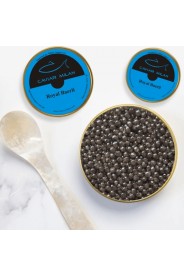 Caviale Royal Baerii - Caviar Milan